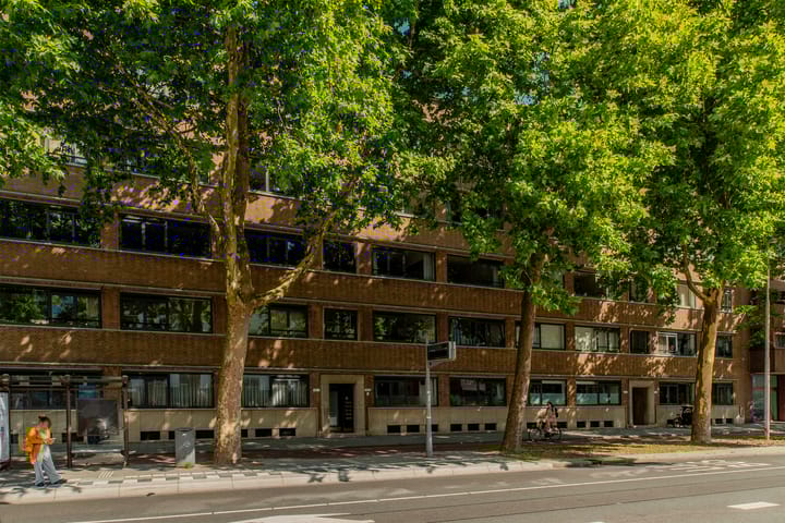 Foto 27 van Rochussenstraat 133-C