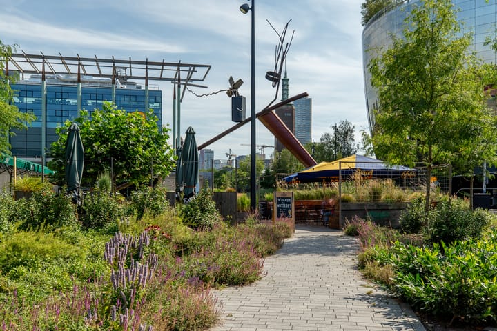 Foto 32 van Rochussenstraat 133-C