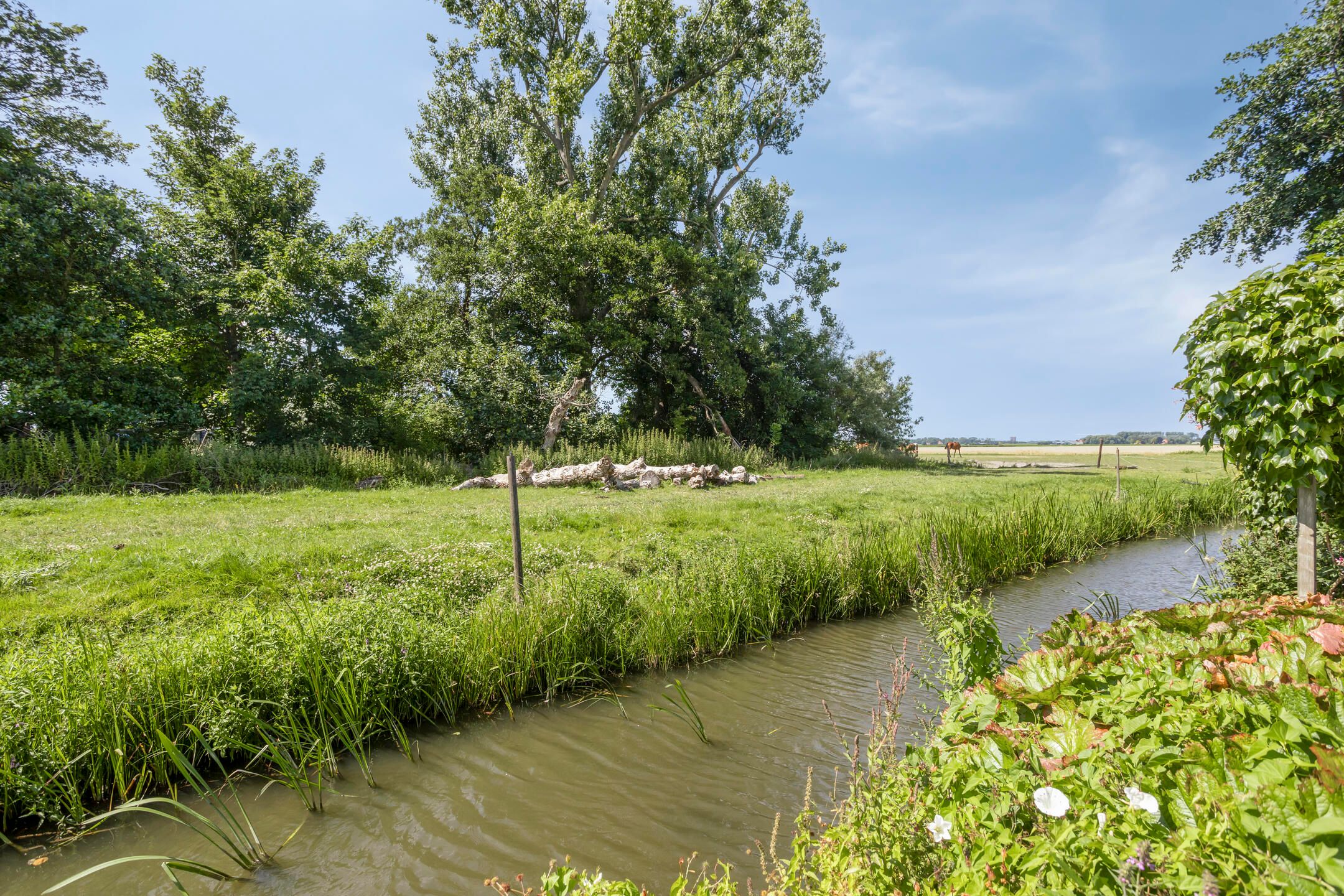 Foto 51 van Wiekstraat 12