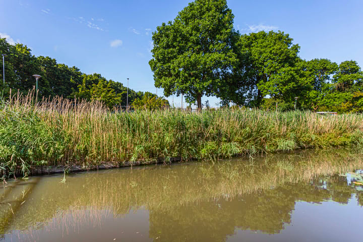 Foto 42 van Reigerskamp 270