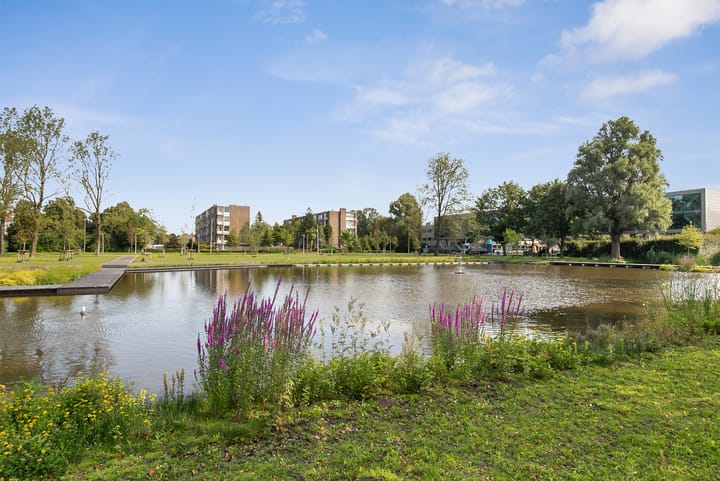 Foto 23 van Toon Dupuisstraat 45