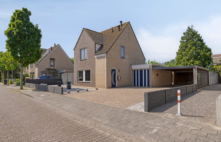 Foto 5 van Steeland 20