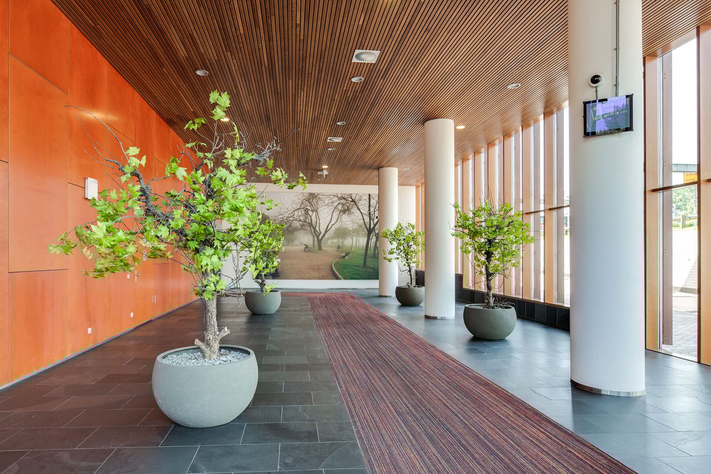 Foto 4 van Buitenom 111