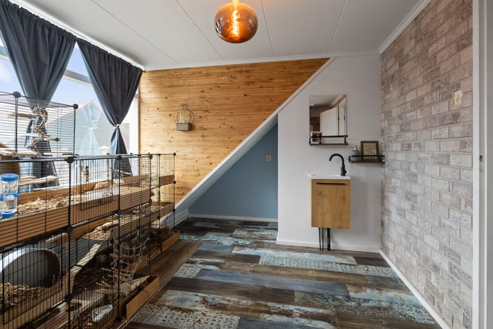 Foto 16 van Jonkerstraat 29