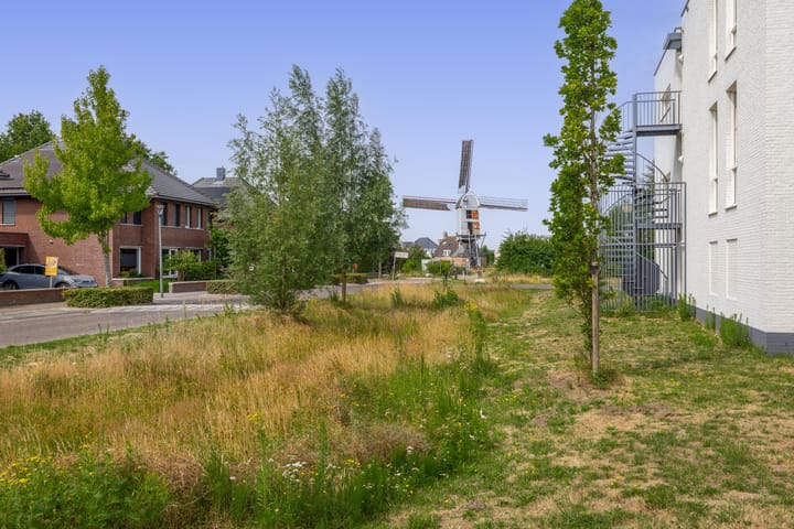 Foto 24 van Koetshuislaan 827