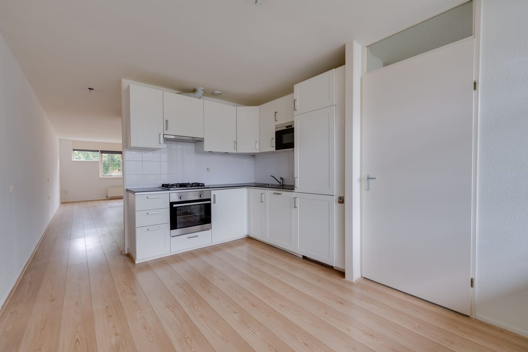 Foto 2 van Laan van de Mensenrechten 110