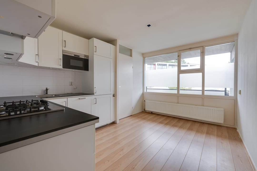 Foto 7 van Laan van de Mensenrechten 110