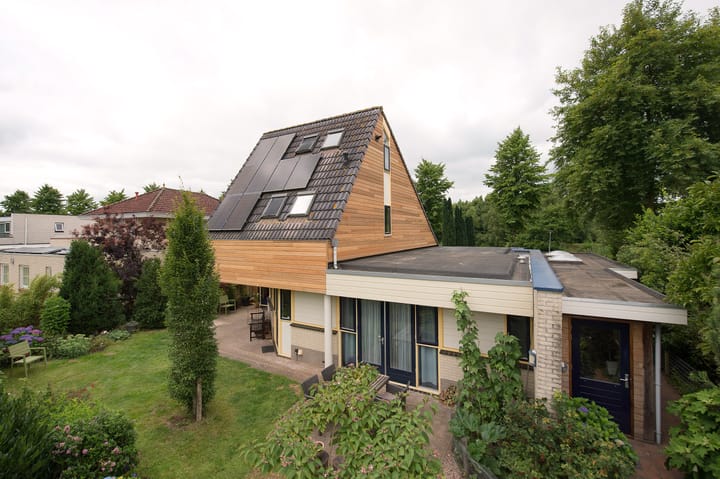 Foto 2 van Sternmesschen 12