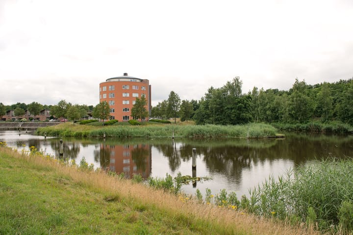 Foto 6 van Sternmesschen 12