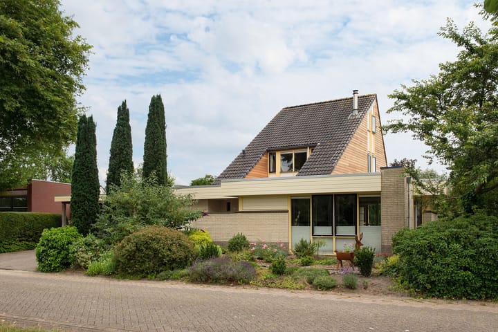 Foto 7 van Sternmesschen 12