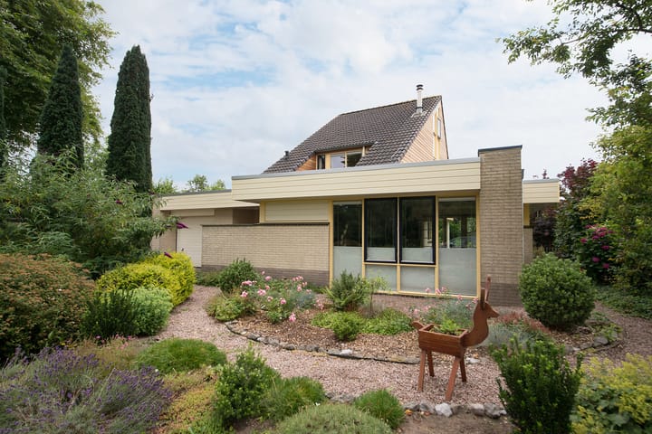 Foto 8 van Sternmesschen 12