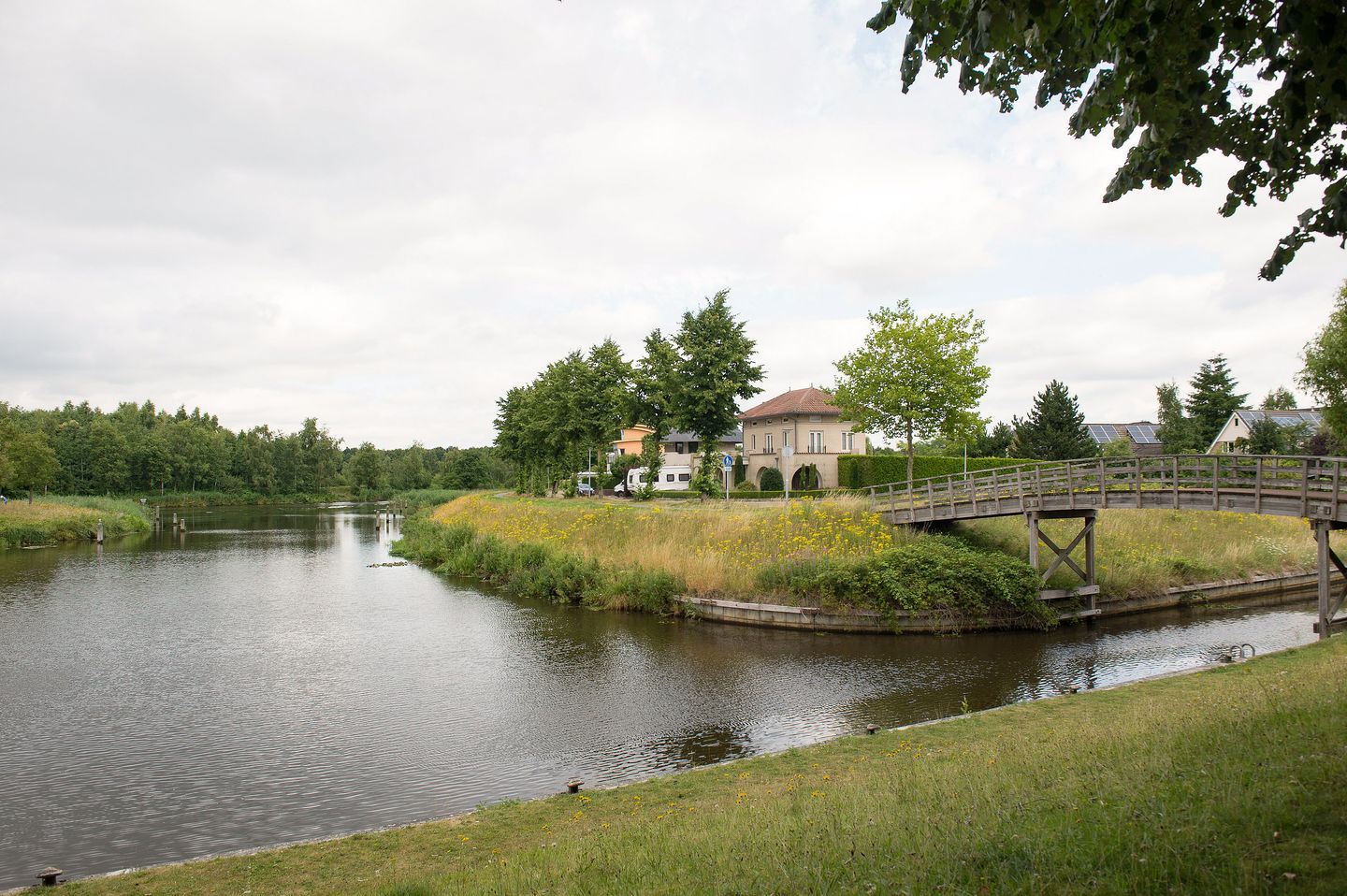 Photo 10 of Sternmesschen 12