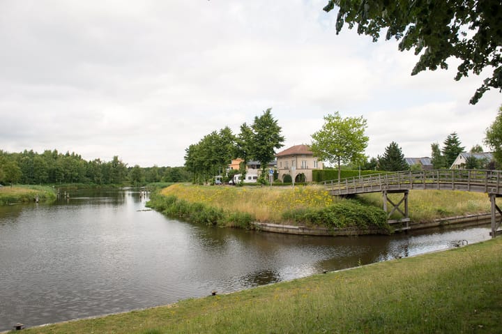 Foto 10 van Sternmesschen 12