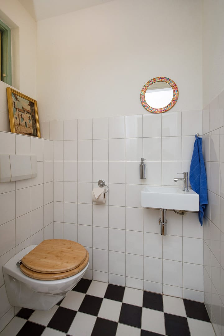 Foto 29 van Sternmesschen 12