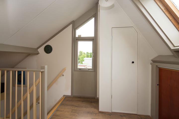 Foto 37 van Sternmesschen 12