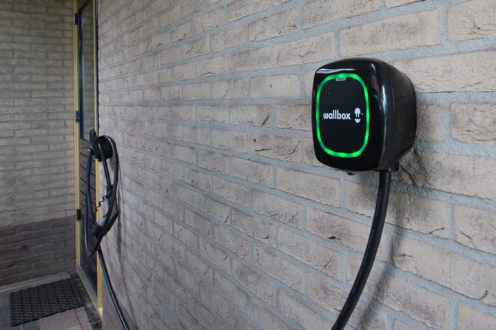 Foto 42 van Sternmesschen 12