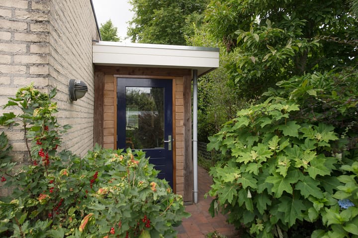 Foto 44 van Sternmesschen 12