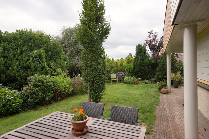 Foto 48 van Sternmesschen 12