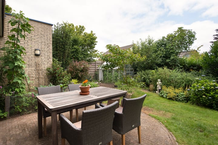 Foto 50 van Sternmesschen 12