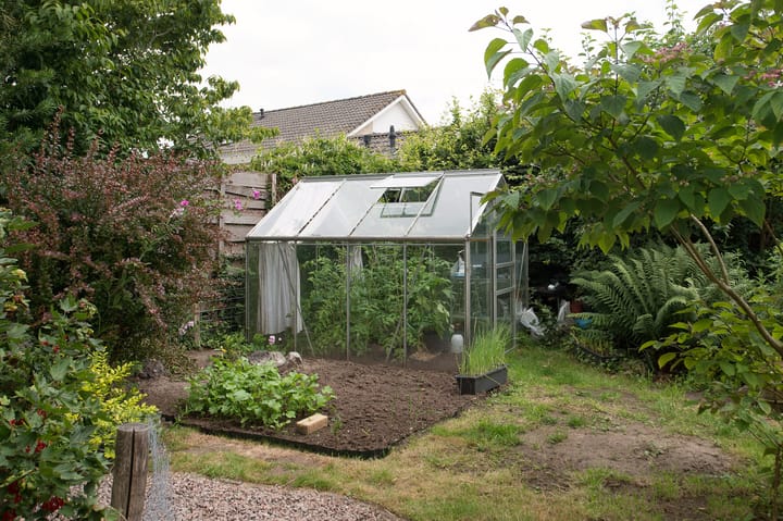 Foto 51 van Sternmesschen 12