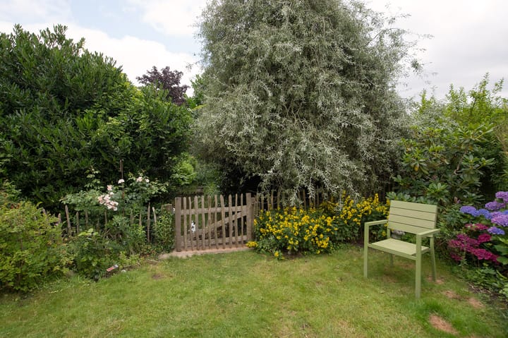 Foto 52 van Sternmesschen 12