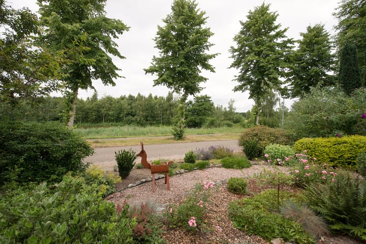 Foto 55 van Sternmesschen 12