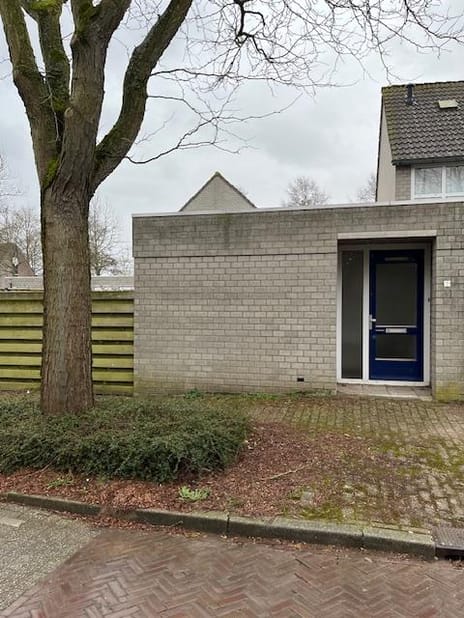 undefined main image