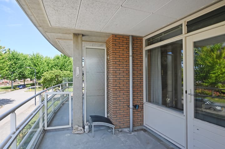 Foto 2 van Buizerdlaan 227