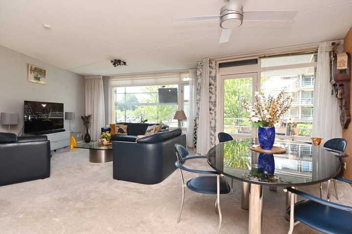 Foto 3 van Buizerdlaan 227