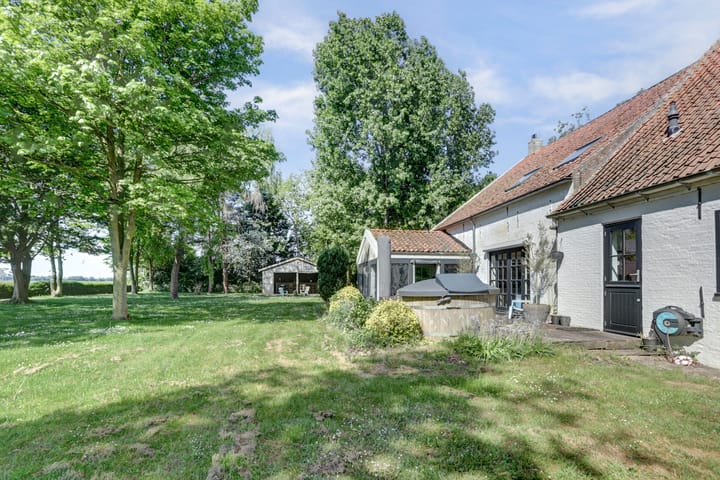 Photo 47 of Zuiddijkweg 4