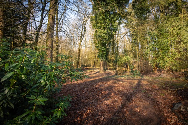 Foto 26 van Kerkendelweg 47-A