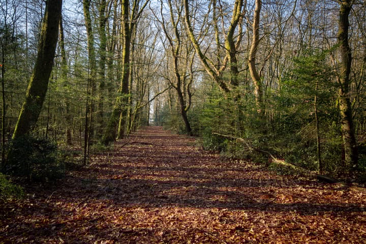 Foto 29 van Kerkendelweg 47-A