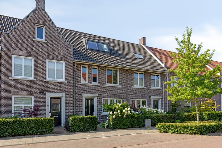 undefined main image