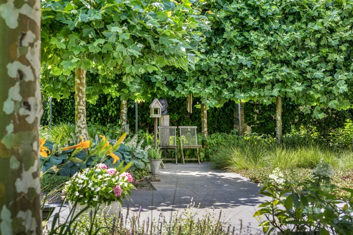 Foto 52 van Constantijnlaan 13