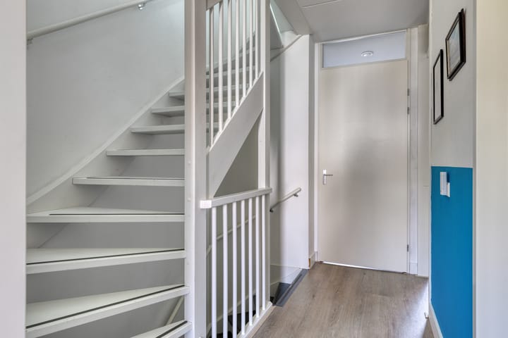 Foto 12 van Zwartbont 16