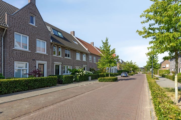 Foto 33 van Zwartbont 16