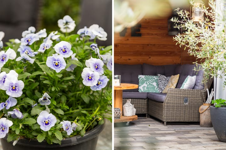 Foto 25 van Asserdreef 25