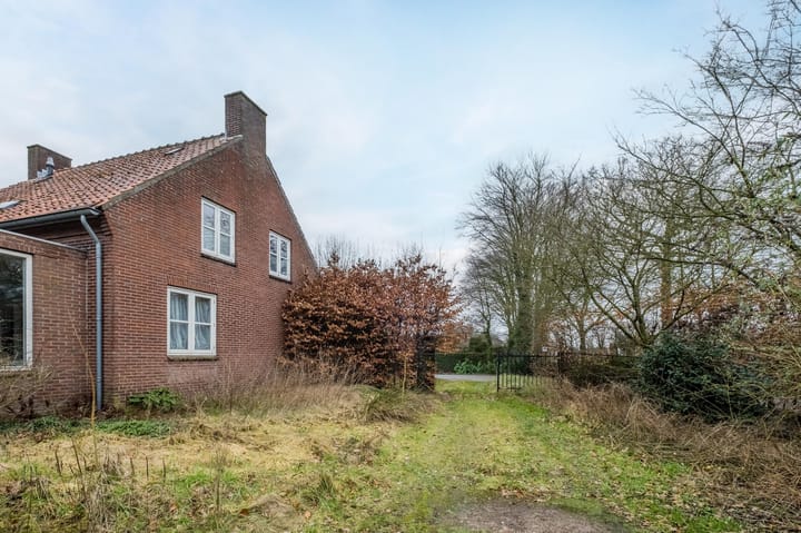 Foto 3 van Heiligenboom 5