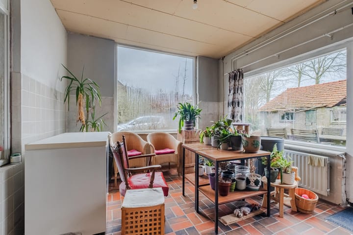 Foto 12 van Heiligenboom 5