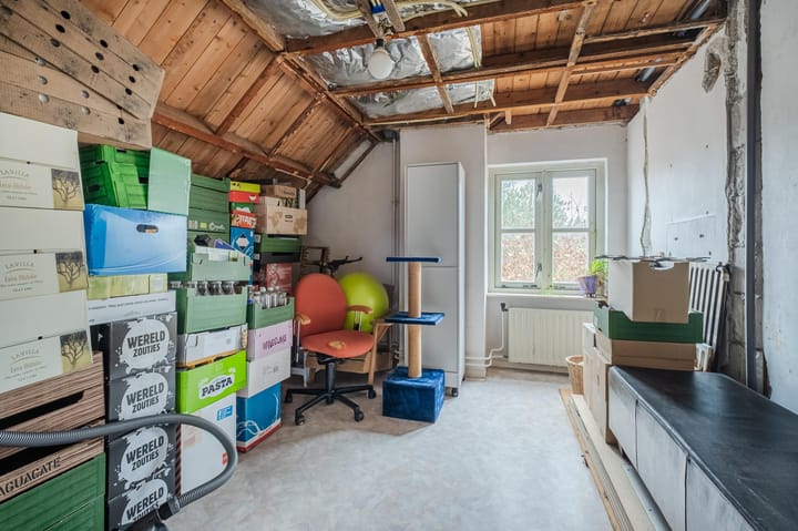 Foto 19 van Heiligenboom 5