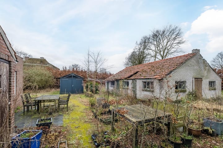 Foto 32 van Heiligenboom 5