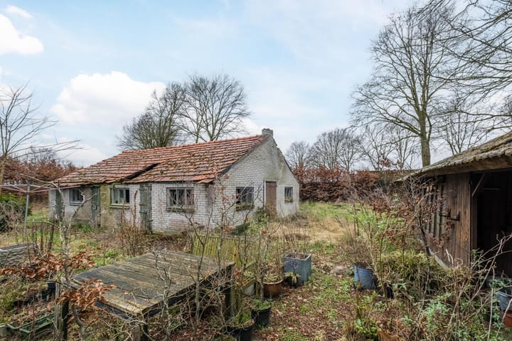 Foto 33 van Heiligenboom 5