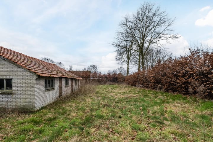 Foto 34 van Heiligenboom 5