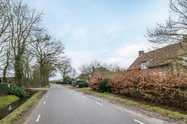 Foto 37 van Heiligenboom 5