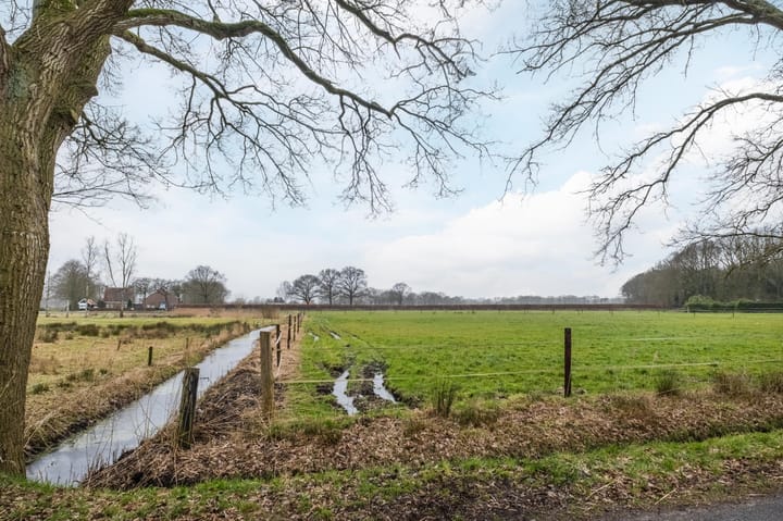 Foto 38 van Heiligenboom 5