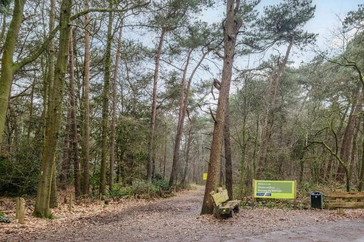 Foto 39 van Heiligenboom 5