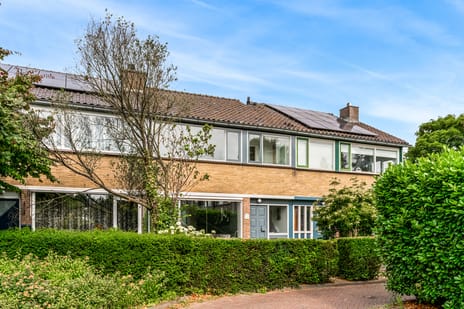 undefined main image