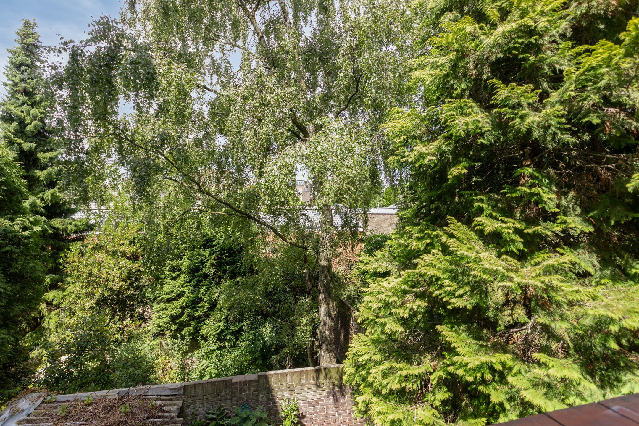 Foto 21 van Prinsesselaan 10