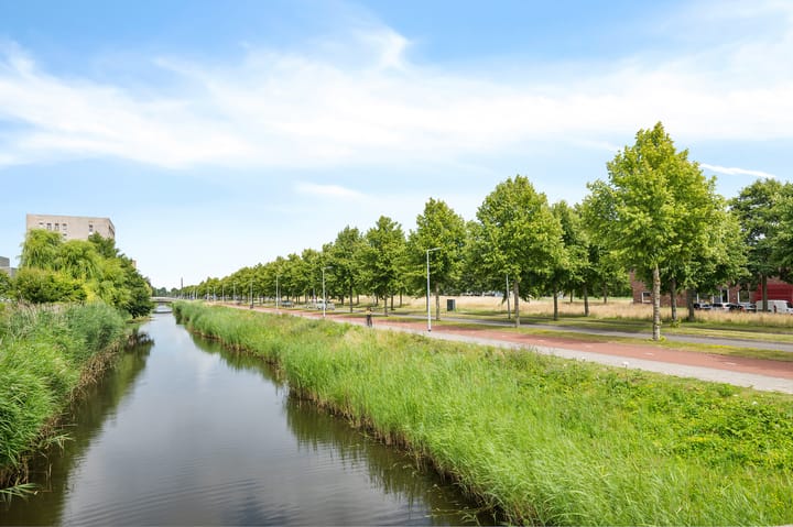 Foto 32 van Vliehors 23