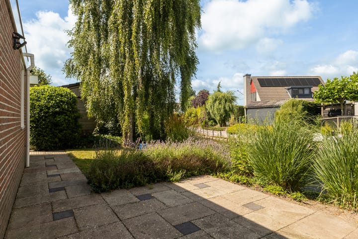 Foto 5 van Warring 65